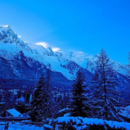 "Chalet Bobo" Cosy & Magnifique Vue Chx Sud Chamonix Buitenkant foto